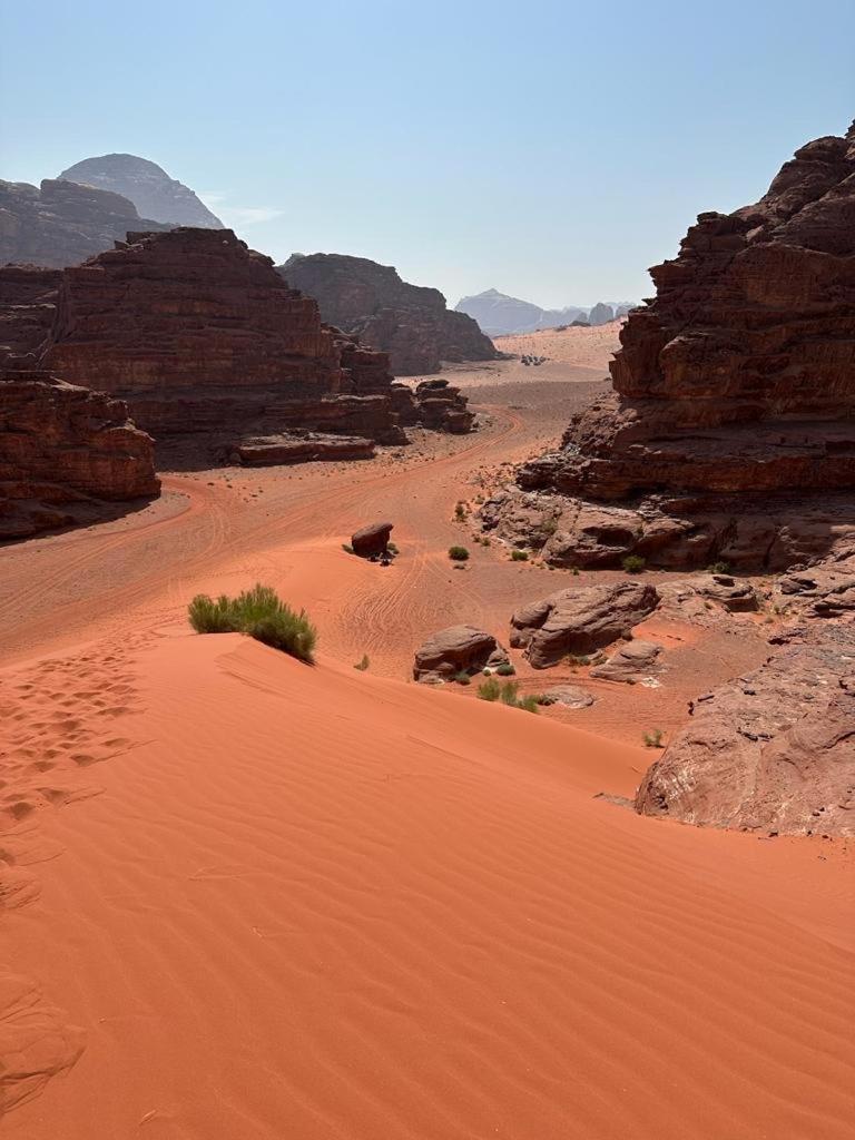 Bedouin Holidays Camp And Jeep Tours Wadi Rum Exterior foto