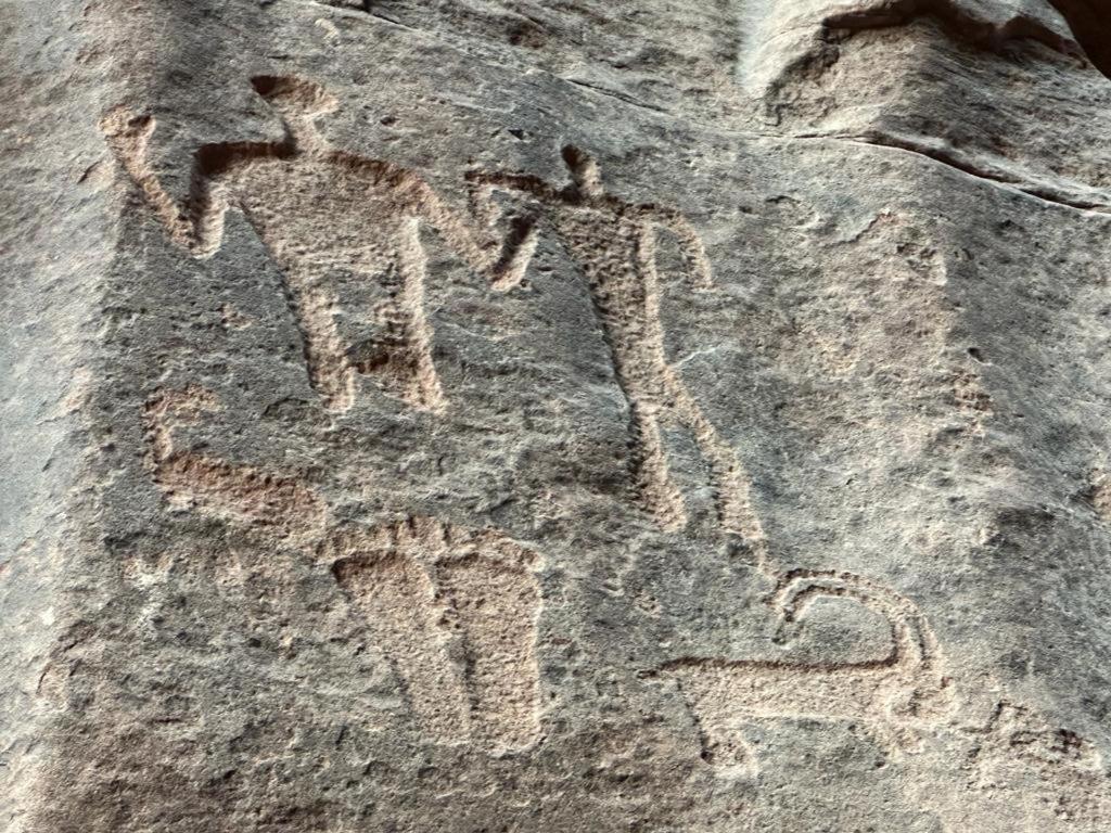 Bedouin Holidays Camp And Jeep Tours Wadi Rum Exterior foto