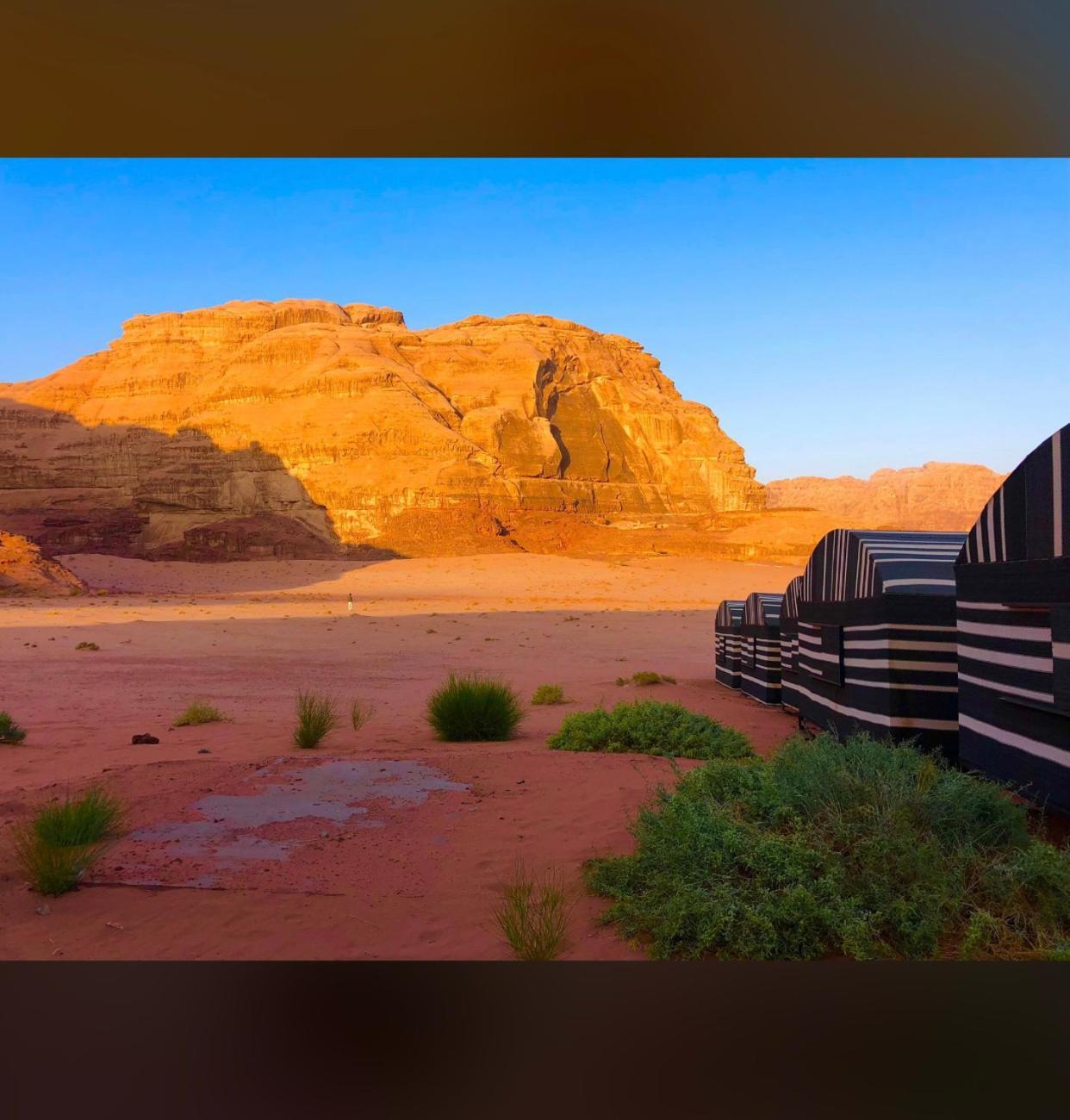 Bedouin Holidays Camp And Jeep Tours Wadi Rum Exterior foto